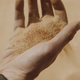 Imagen para el artículo titulado Todos los secretos y detalles de Dune que quizás no viste en su primer tráiler